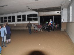 dsc_0100_web